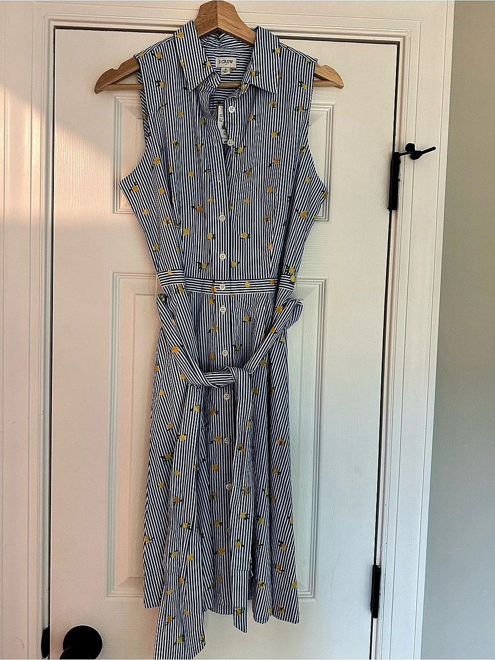 J.Crew Factory sleeveless shirtdress in blue stripe lemon print size 6